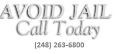 Penalty_Retail_Fraud_Michigan