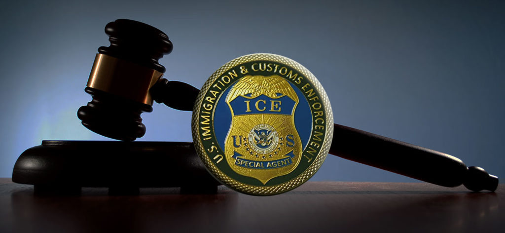 U.S. Immigration and Customs Enforcement consequenses conviction