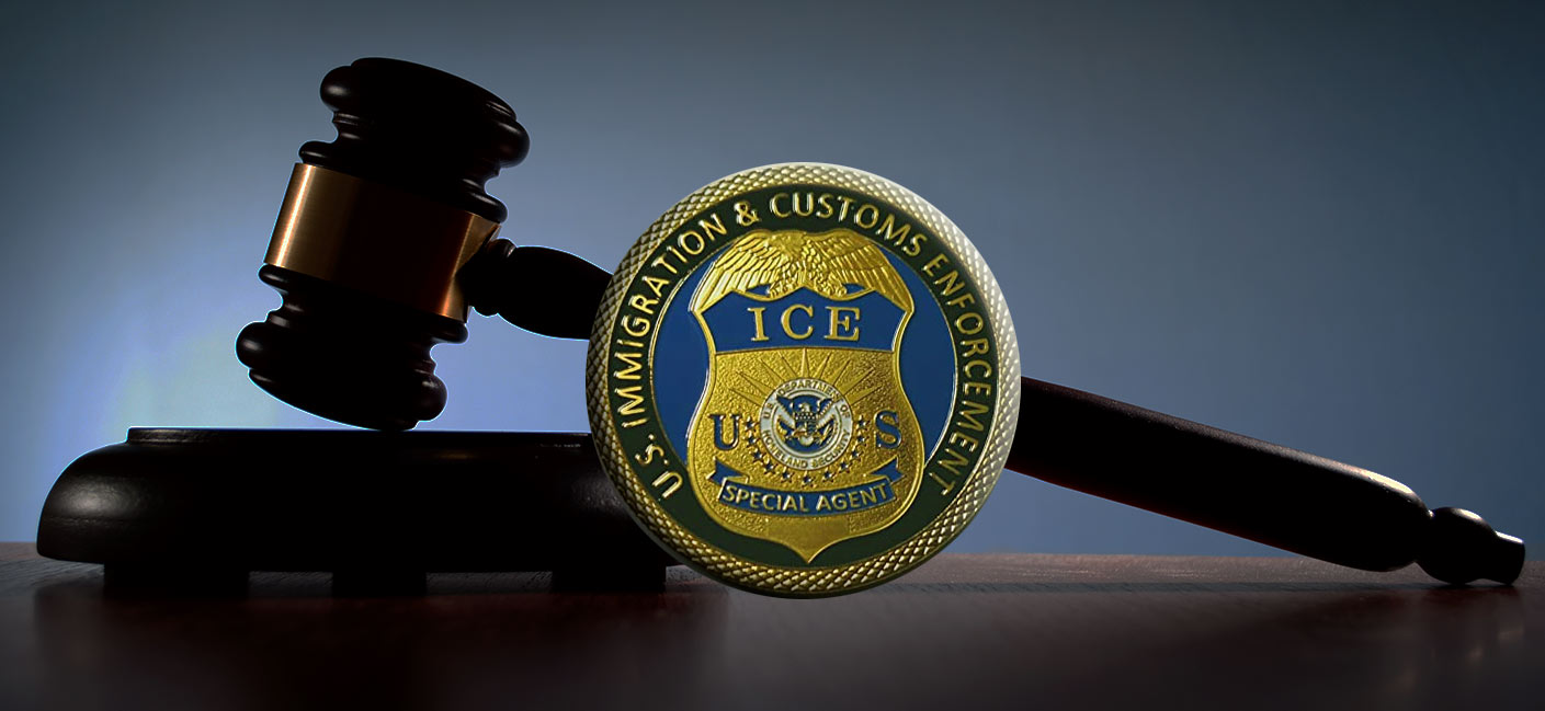 Immigration Effects of a Criminal Conviction