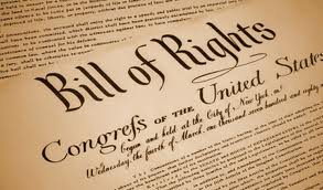 Michigan Criminal Lawyer