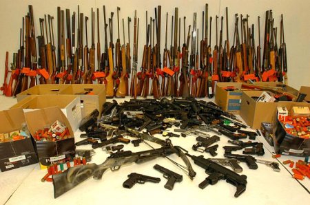 Weapons and Gun Charges - Michigan