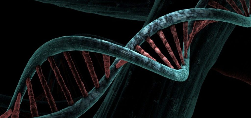 DNA to reverse conviction
