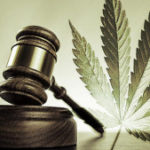 Legal Defenses and Analysis of Recreational Marijuana in Michigan
