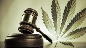 Legal Defenses and Analysis of Recreational Marijuana in Michigan