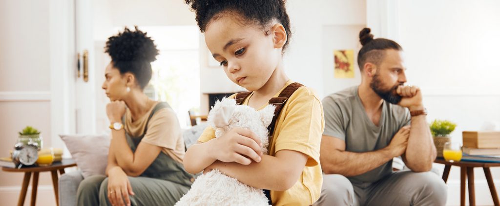 Child Custody Cases with Domestic Violence Abuse