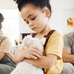 Child Custody Cases with Domestic Violence
